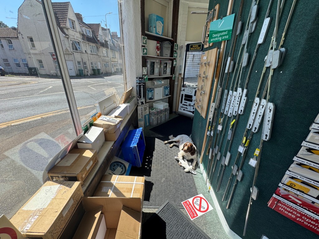 Lot: 193 - COMMERCIAL AND RESIDENTIAL INVESTMENT - Shop - stores 5